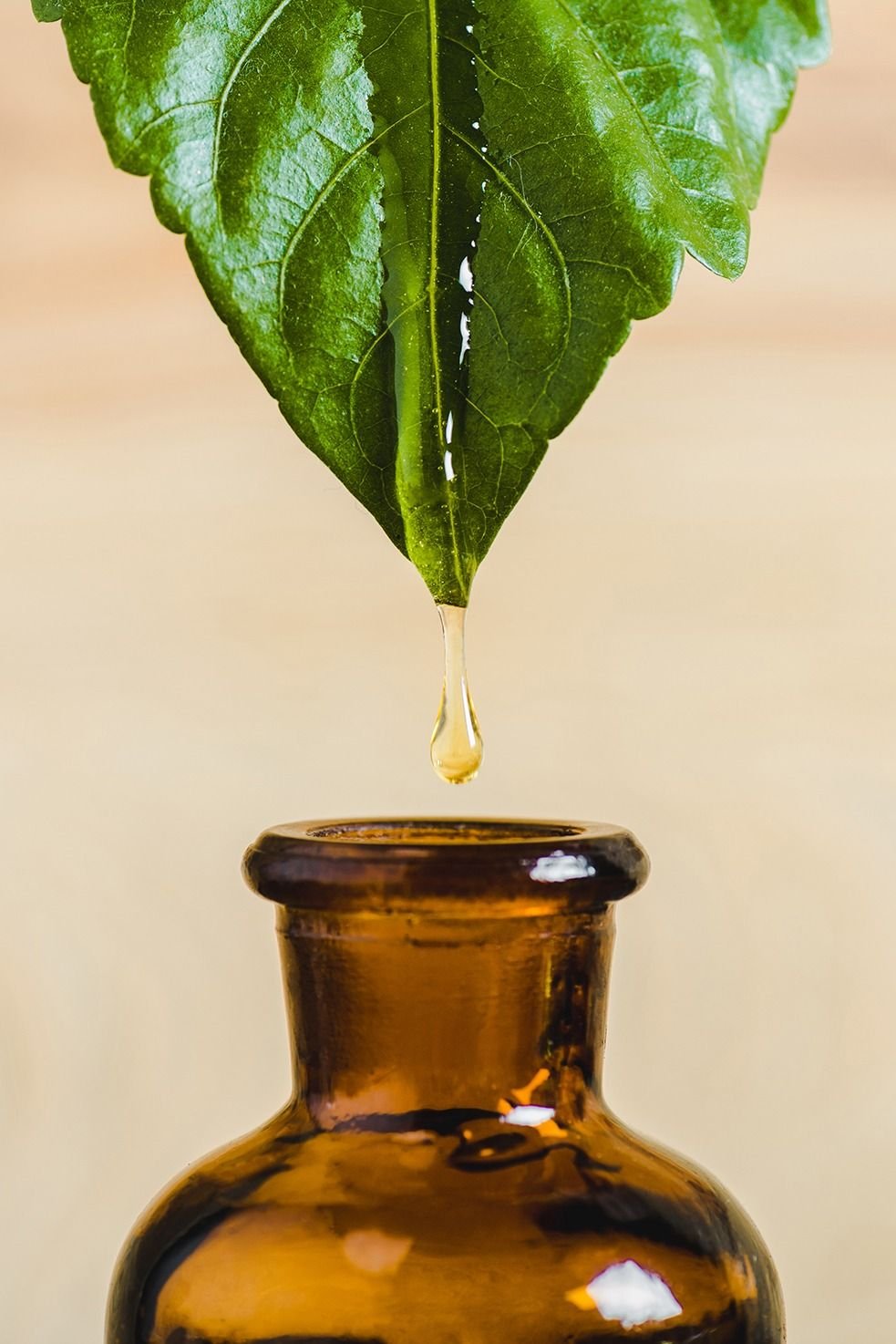 ayur herbal hair oil